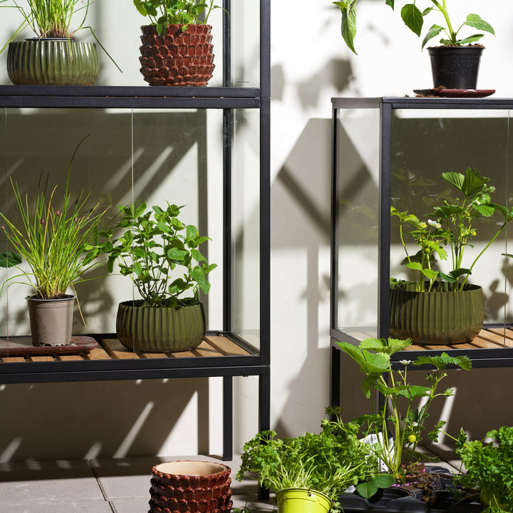 Brafab Grower Greens planteskap i sort med glasshyller fylt med grønne potteplanter og urter