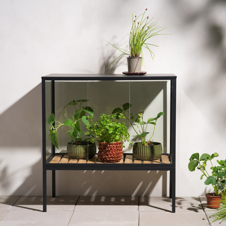 Brafab Grower Greens planteskap i sort med urter, glassvitrine ute mot lys vegg