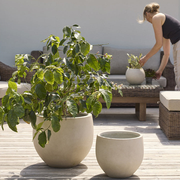 Phuc potte i lys betong med grønn plante, på terrasse med tredekke og rattansofa i sollys