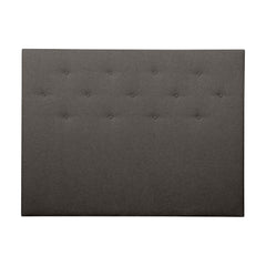 Stella Graphite