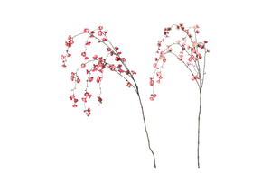 Cherry Blossom Dekorasjonsgren
