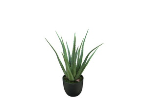 Kunstig Aloe