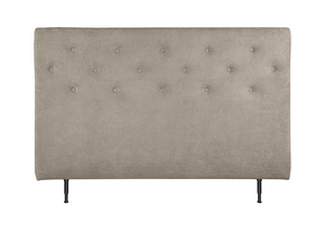 Asleep Venus Sengegavl