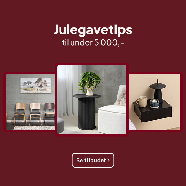 Julegavetips til under 5000 kroner