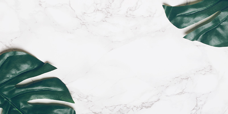 Marmor med monsterablader