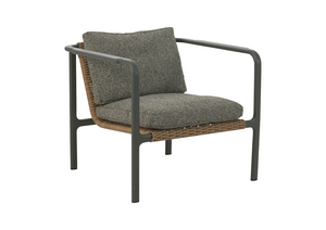 Brafab Motty Hagestol